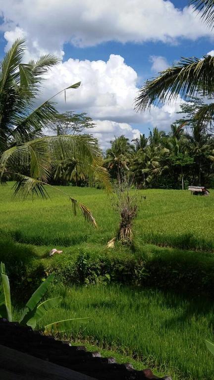 Kishi-Kishi Ubud Villas Exterior photo