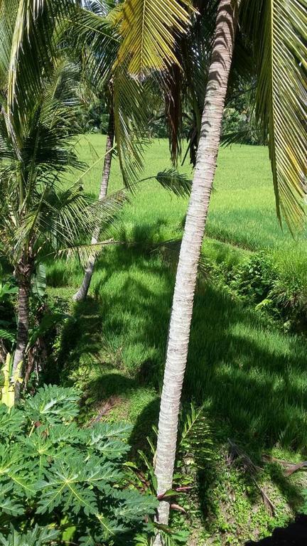 Kishi-Kishi Ubud Villas Exterior photo