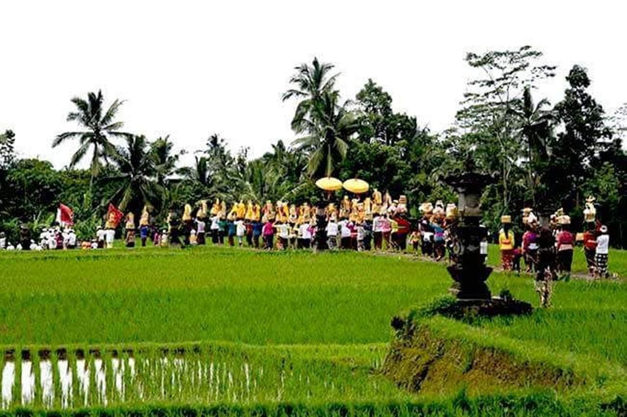 Kishi-Kishi Ubud Villas Exterior photo